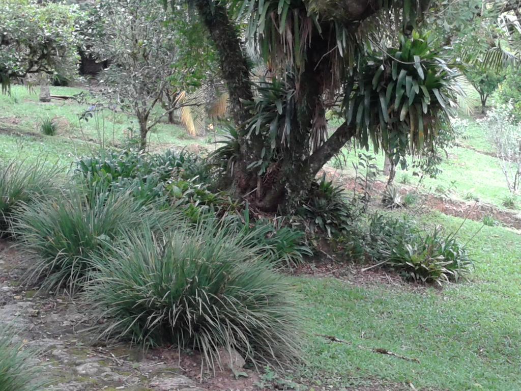 Pousada Recanto Aguas Vivas Turvo dos Gois Exteriör bild